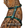 Classic Plaid Collection