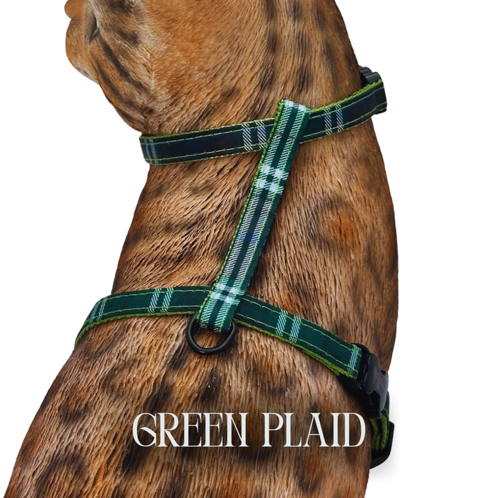 Classic Plaid Collection