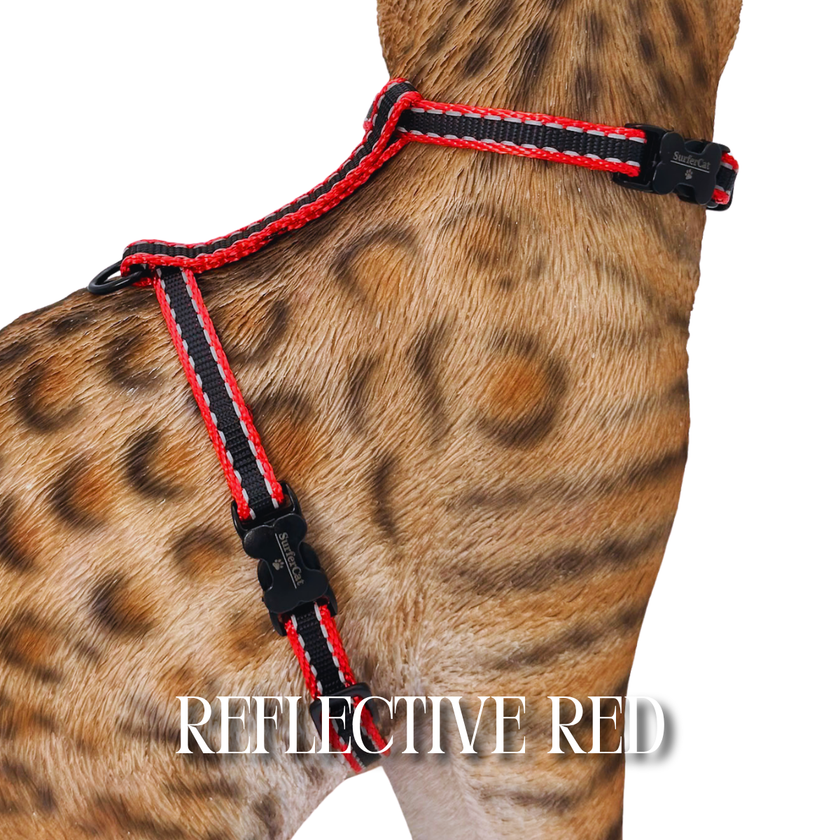 All Harnesses & Collections