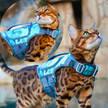 Cat Life Jacket
