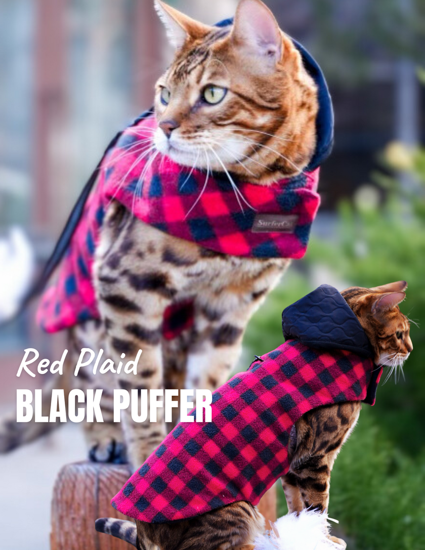 Hideaway Hoodie Collection - Reversible Cat Jacket