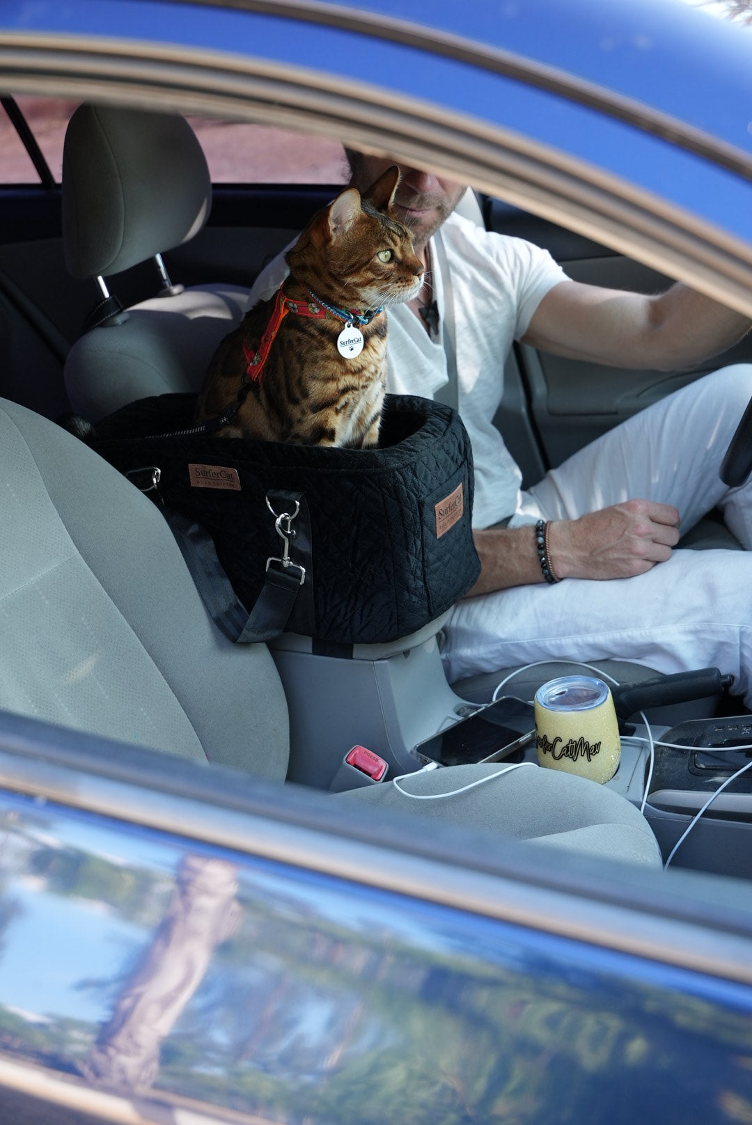 The Road Tripper - Trains Your Cat to Love Car Rides