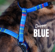 Black Dipped in Gold Leash and Harness Set
