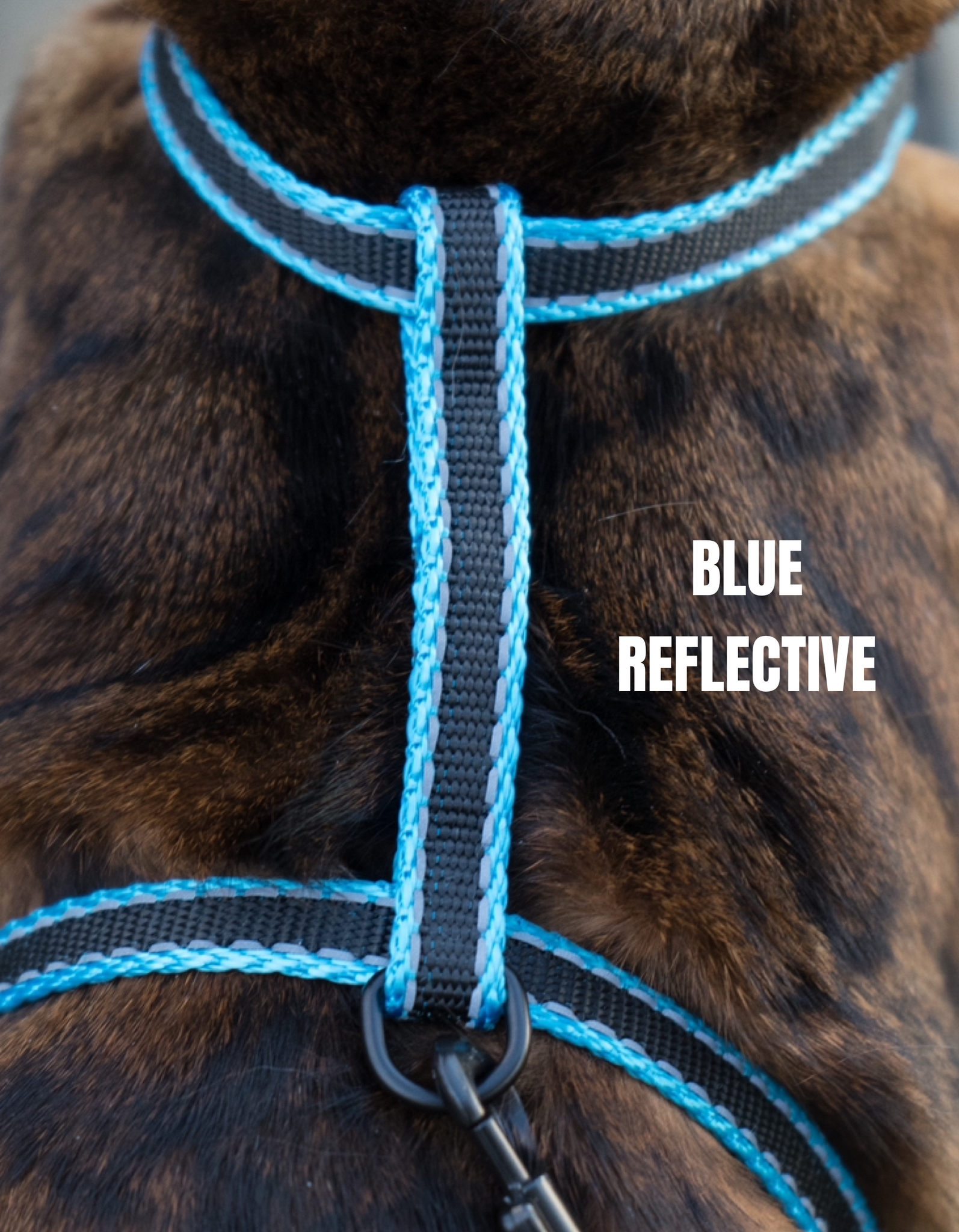 Reflective Harness Collection Escape Proof