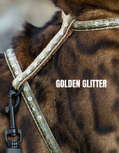 Load image into Gallery viewer, White Dipped in Gold Leash Trainer &amp; Golden Glitter Harness Set
