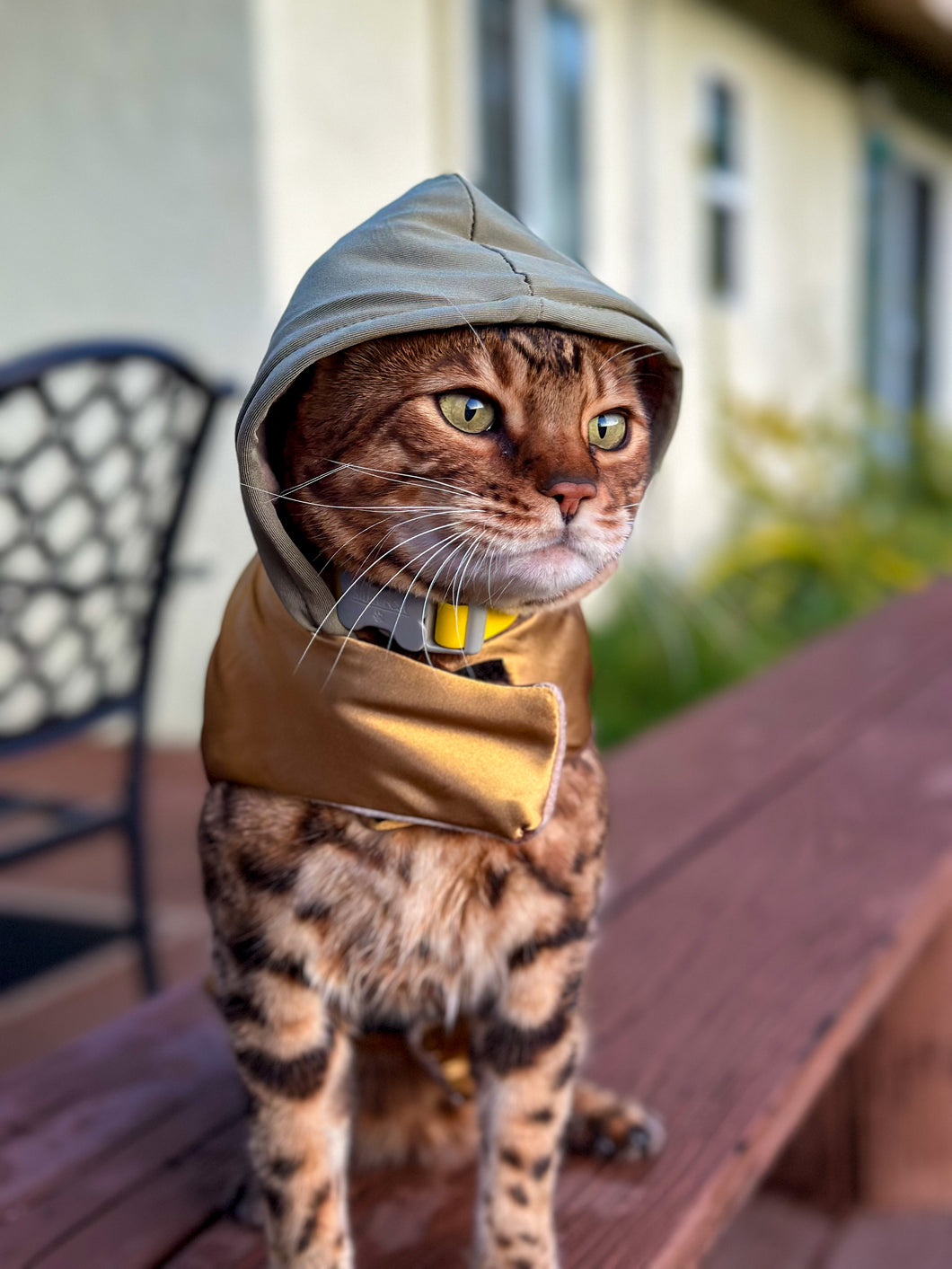 Hideaway Hoodie - Custom made- Cat Jacket Coat