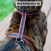 Load image into Gallery viewer, Leash and XL Harness Set
