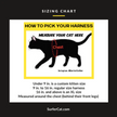 XL Leash & Harness Set