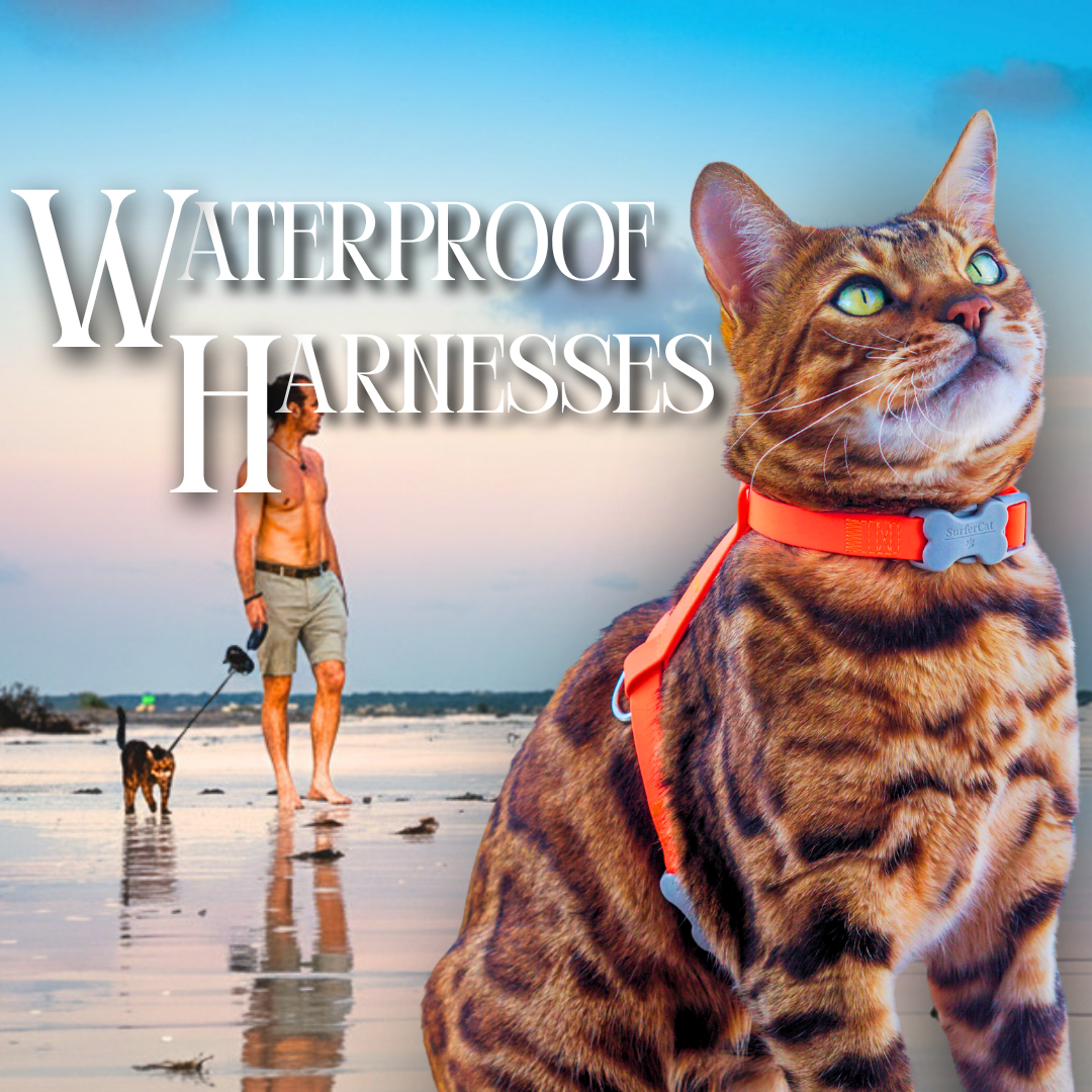 Waterproof Harnesses