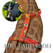 Leash and Harness Set