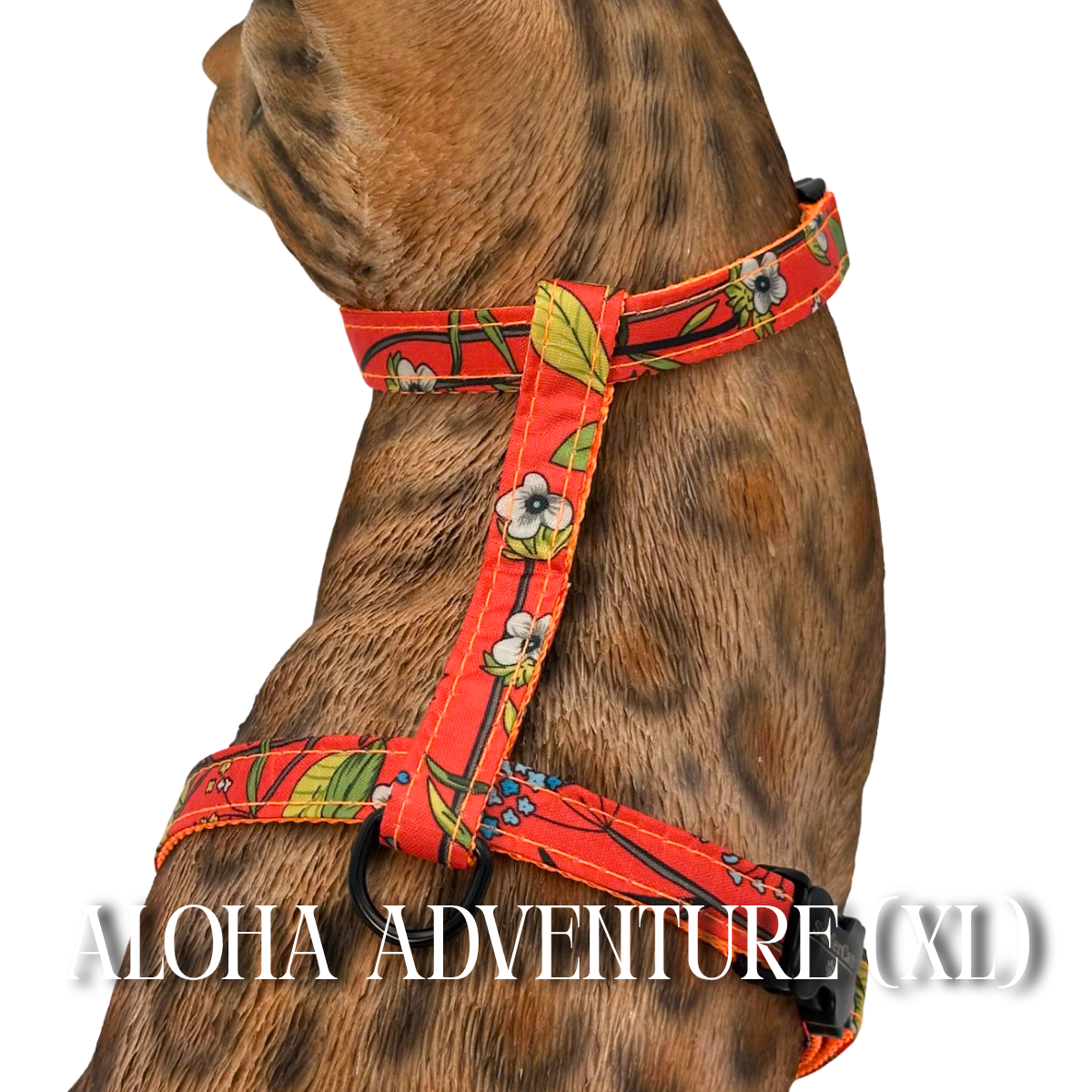 All Harnesses & Collections