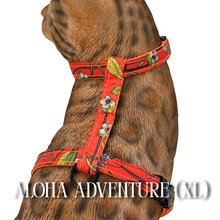 Load image into Gallery viewer, Summer Collection - Escape-Proof Harness
