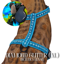 Load image into Gallery viewer, XL Harness &amp; Leash Set
