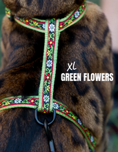 Load image into Gallery viewer, Leash and Harness Set
