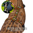 Black Dipped in Gold Leash and Harness Set
