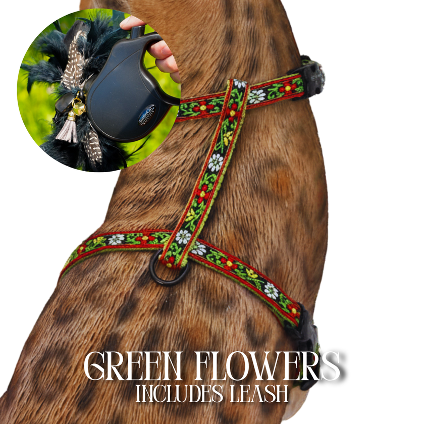 Black Dipped in Gold Leash and Harness Set