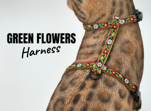 Load image into Gallery viewer, Iridescent Collection- sold separately Hands Free Leash, Escape Proof Harness &amp; collars
