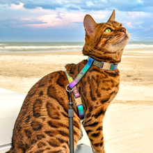 Load image into Gallery viewer, Iridescent Collection- sold separately Hands Free Leash, Escape Proof Harness &amp; collars
