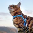 Rugged Glitter Collection - Escape-Proof Harness