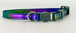 Breakaway Collar