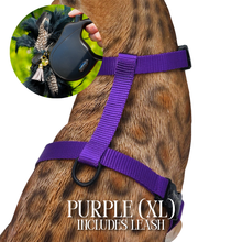 Load image into Gallery viewer, Leash and Harness Set
