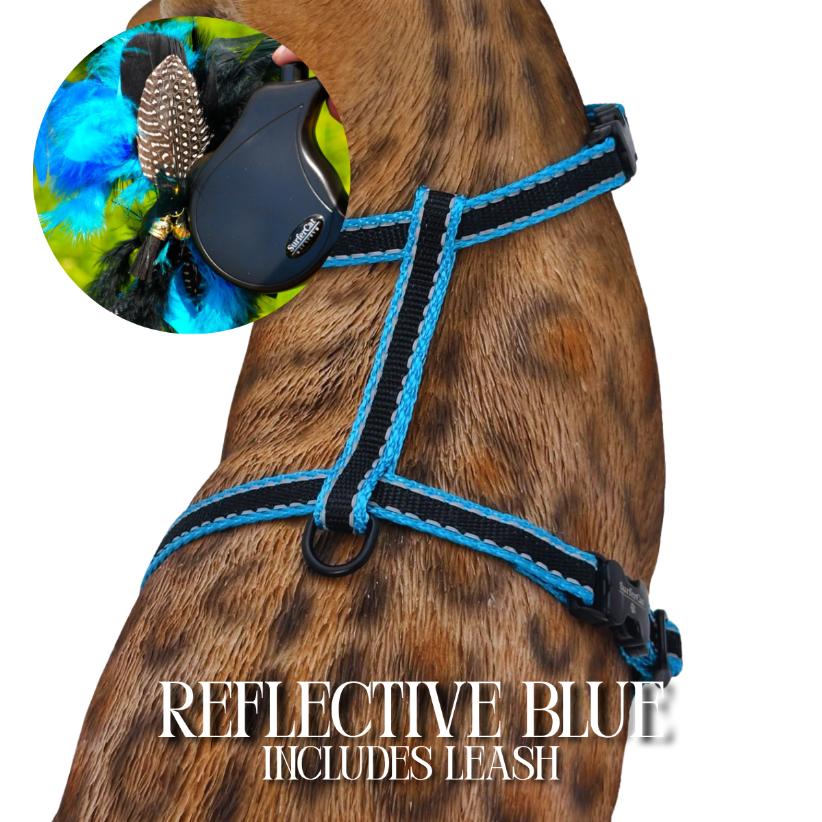 Leash and Harness Set