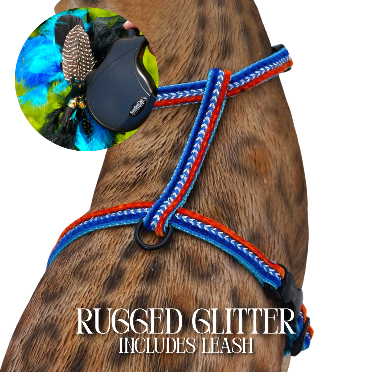 Leash and Harness Set