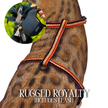 Leash and Harness Set