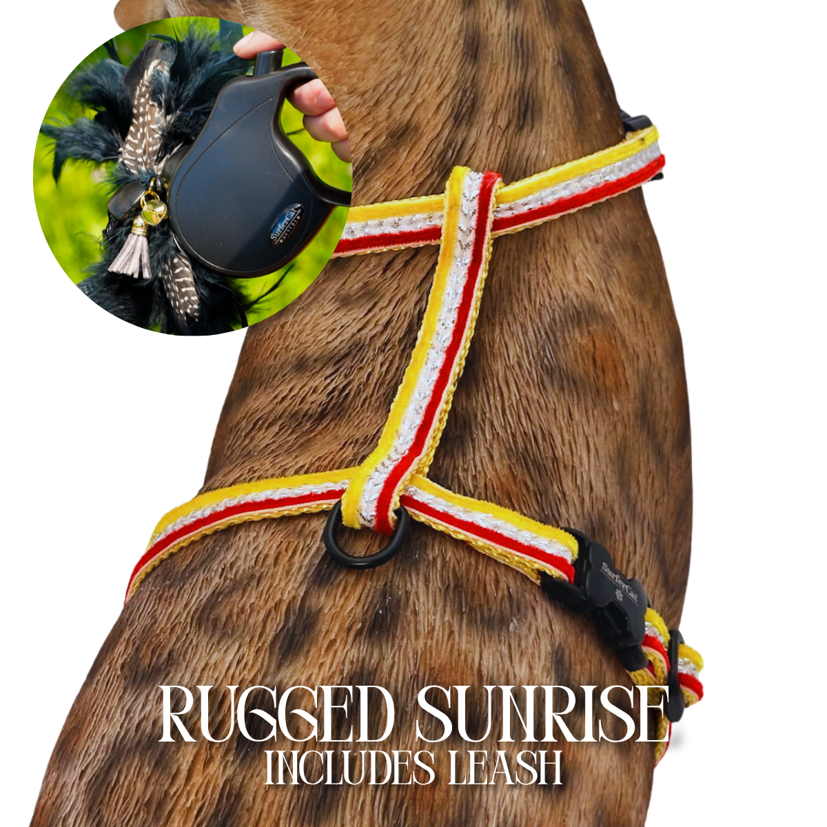 Leash and Harness Set