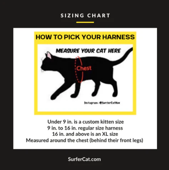 XL Harnesses