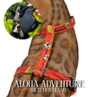 Leash and Harness Set