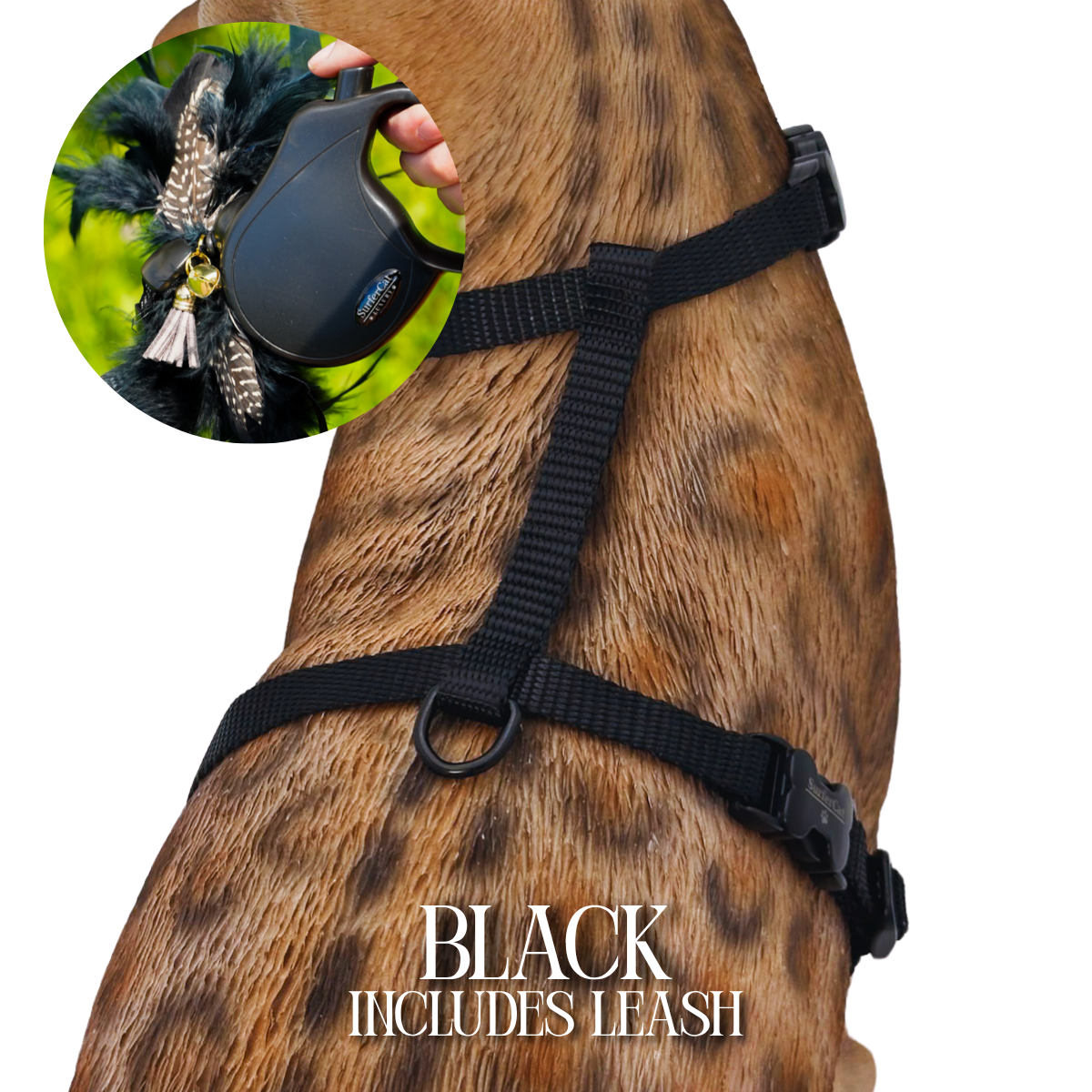 Leash and Harness Set