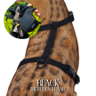Leash and Harness Set