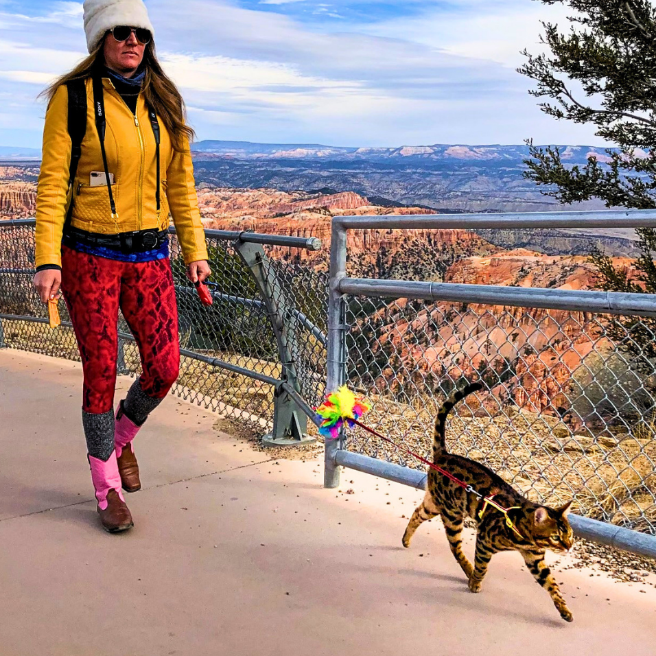 Leash and Harness Set