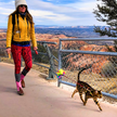 Leash and Harness Set
