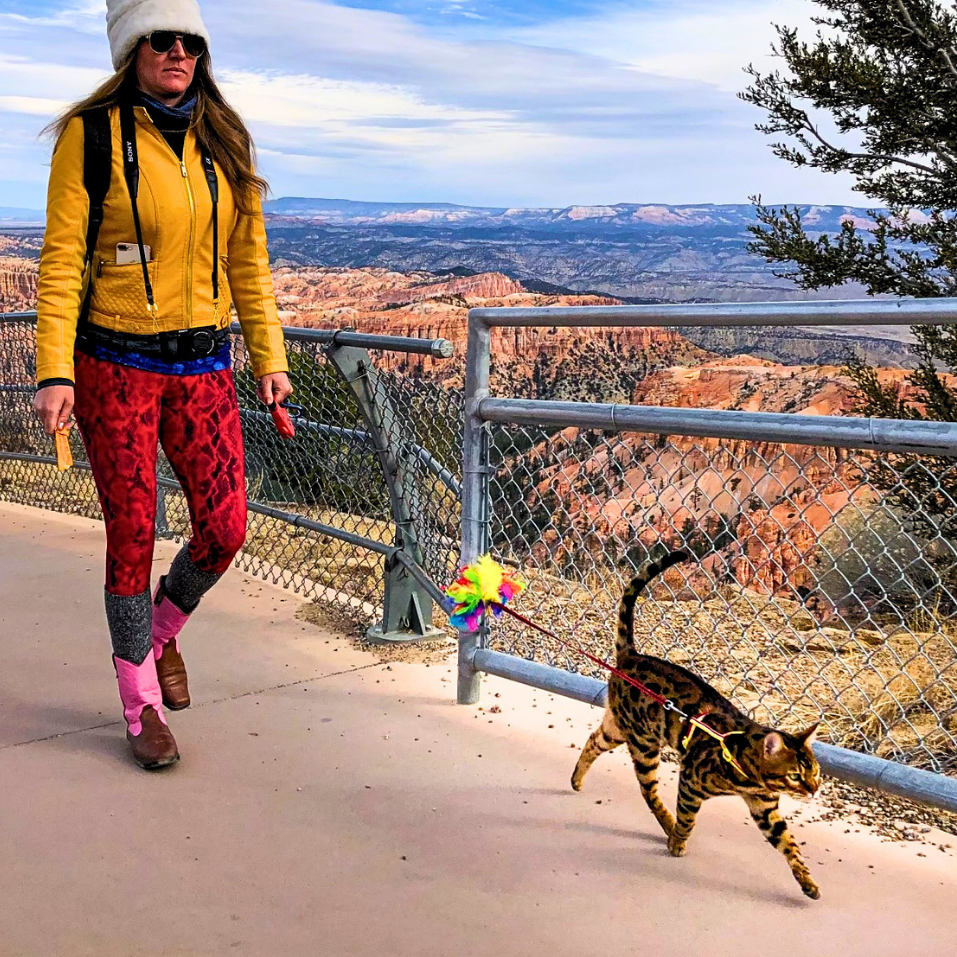 Person in yellow jacket and red pants walking a cat on a trail with a scenic view in the background