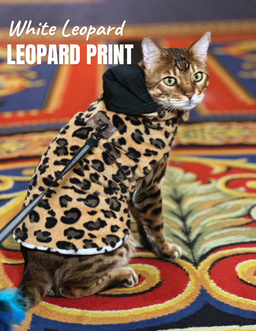 Hideaway Hoodie Collection - Reversible Cat Jacket