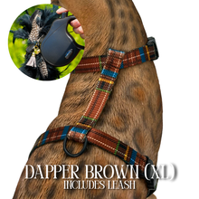 Load image into Gallery viewer, XL Harness &amp; Leash Set
