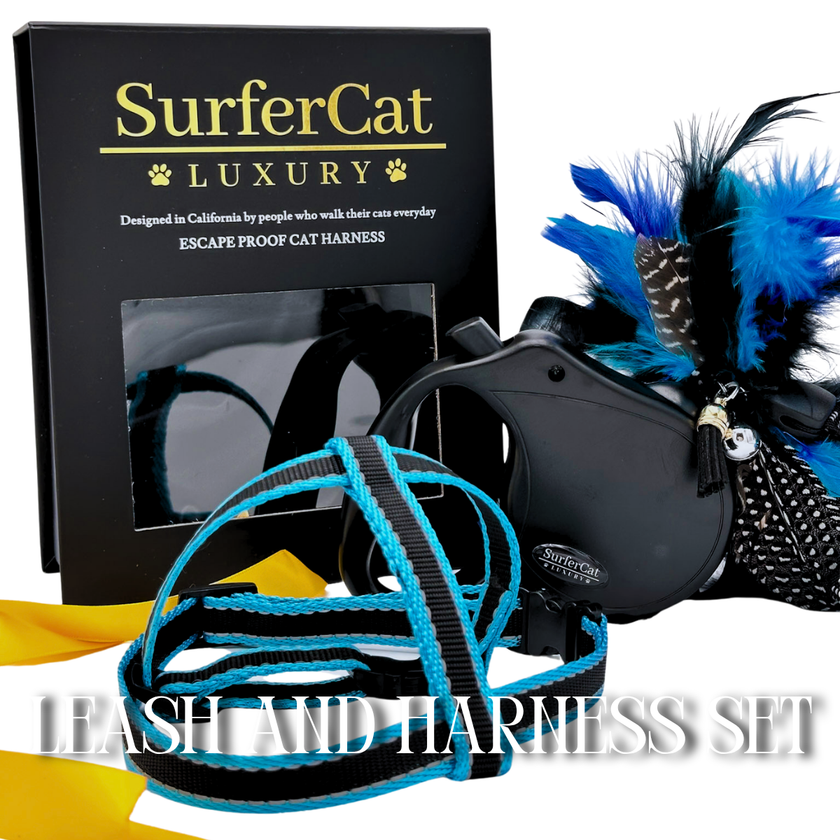 XL Leash & Harness Set