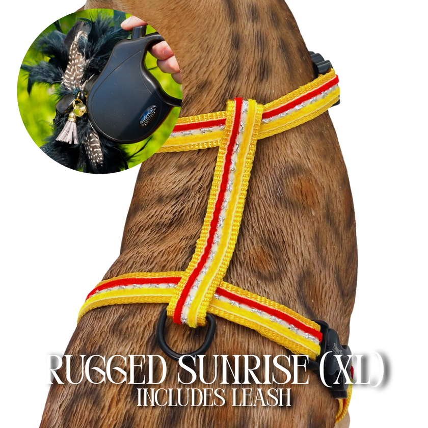 Leash and Harness Set