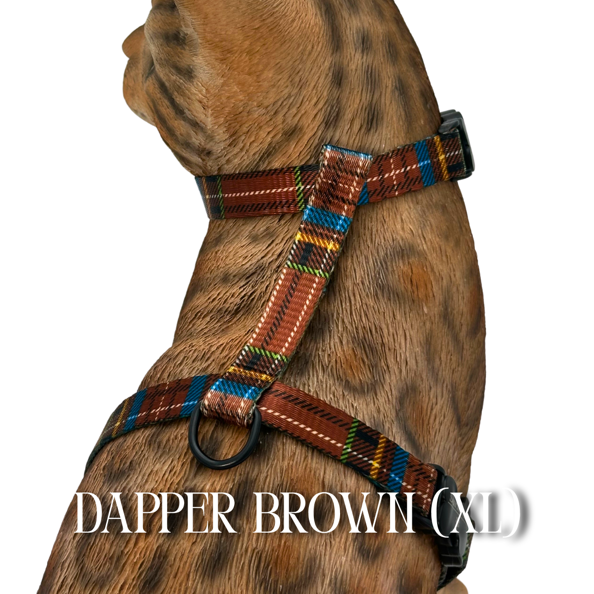 Dapper Collection - Escape Proof