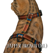 Load image into Gallery viewer, Dapper Collection - Escape Proof
