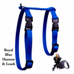 Black Dipped in Gold Leash and Harness Set