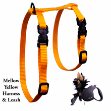 Load image into Gallery viewer, Black Dipped in Gold Leash and Harness Set
