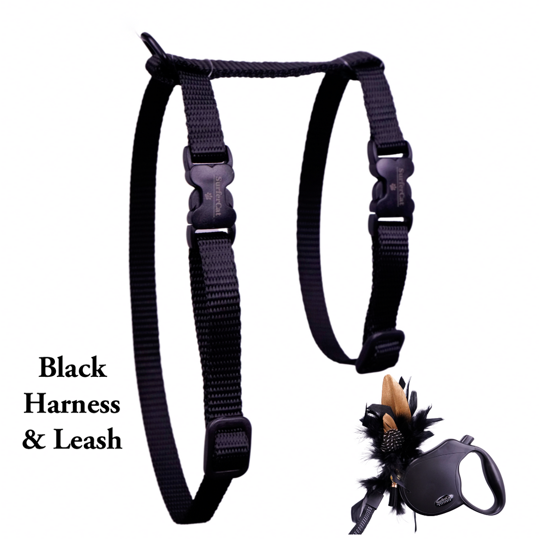 Black Dipped in Gold Leash and Harness Set