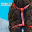 Black Dipped in Gold Leash and Harness Set