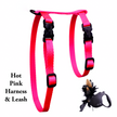 Black Dipped in Gold Leash and Harness Set