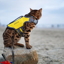 Load image into Gallery viewer, SurferCat Life Jackets
