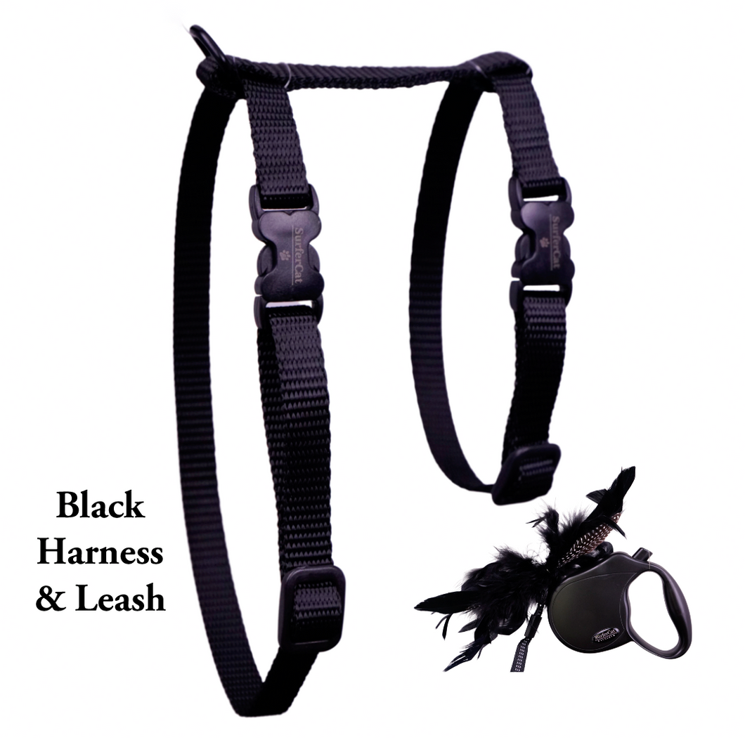Harness and discount leash