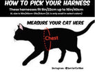 Complete Starter Kit - Cat Travel Bag
